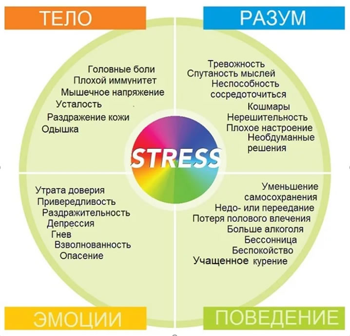 примеры влияния стресса на организм и поведение человека