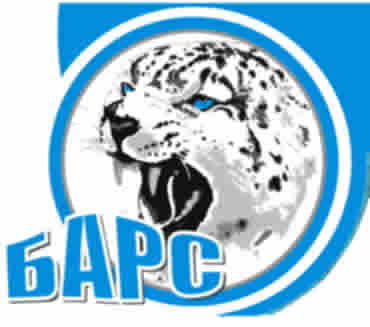 Логотип спортивного центра Барс