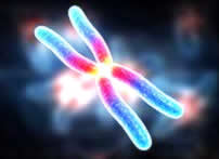 Хромосомные мутации - одна из вероятных причин умственной отсталости 