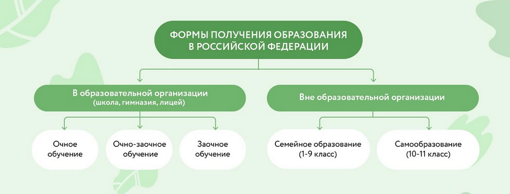 Возможные формы получения образования в РФ