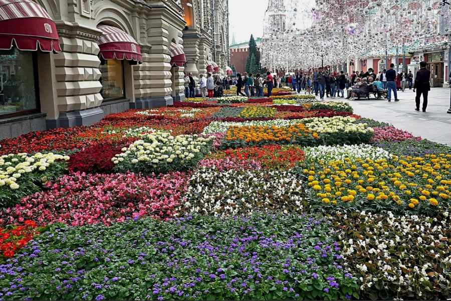 "Цветочная поляна" у ГУМа в Москве