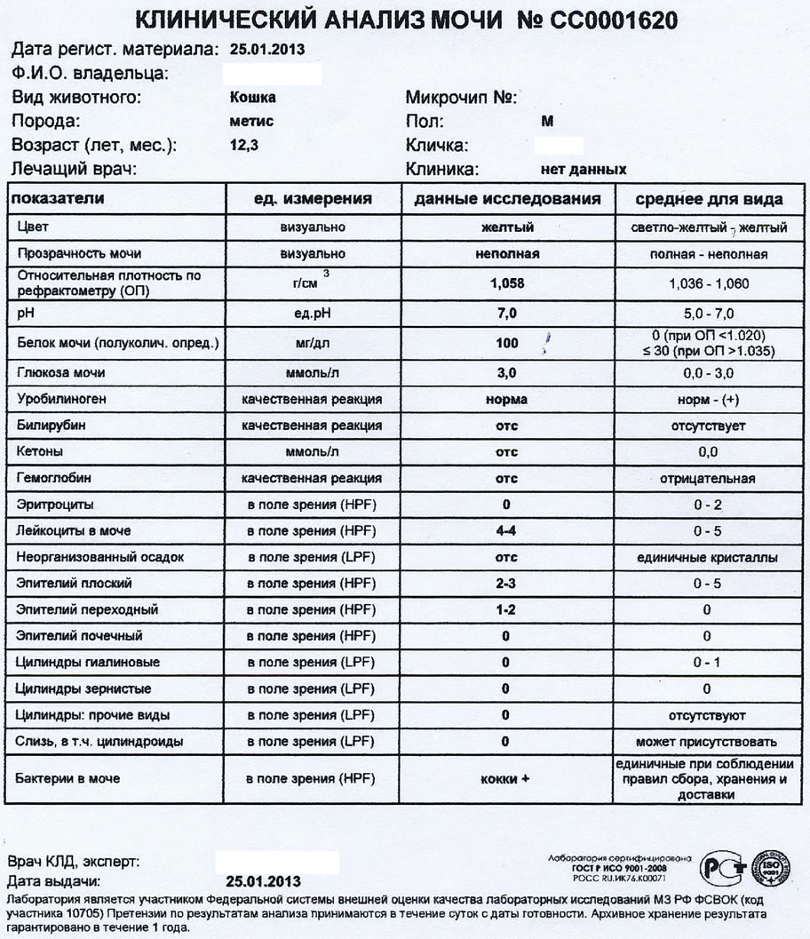 Классический анализ мочи домашнего животного