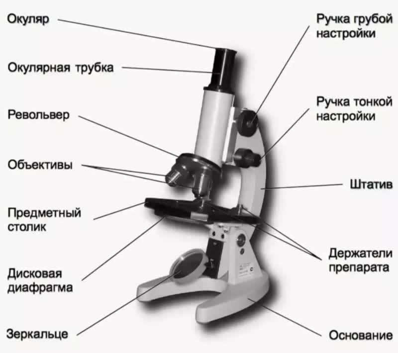 Классический оптический микроскоп